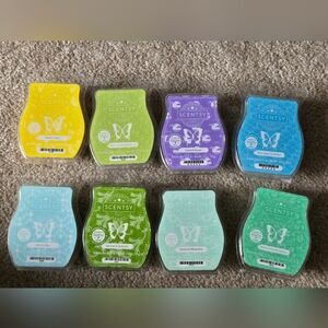 Scentsy Wax Melts Bundle